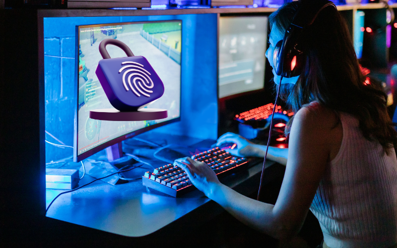 IT Security and Fraud Prevention