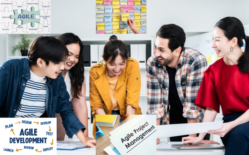 Prince2 Agile Practitioner (Customized topics)